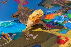 IMG-20240528-WA0001