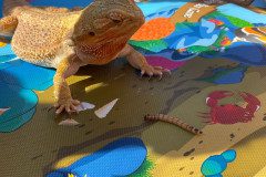 IMG-20240528-WA0002