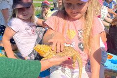 IMG-20240528-WA0018