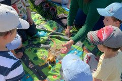 IMG-20240528-WA0020