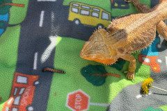 IMG-20240528-WA0021
