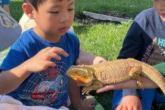 IMG-20240528-WA0036