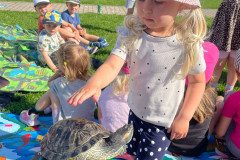 IMG-20240528-WA0044