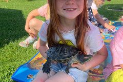 IMG-20240528-WA0047