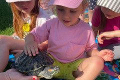 IMG-20240528-WA0048