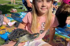 IMG-20240528-WA0051
