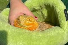 IMG-20240528-WA0053