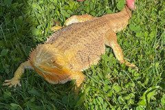 IMG-20240528-WA0054