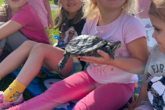 IMG-20240528-WA0061