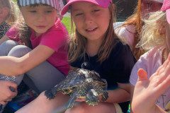 IMG-20240528-WA0062