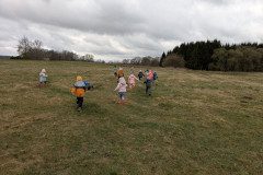 PXL_20250331_084018333