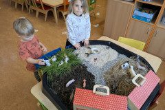 PXL_20250402_054840770