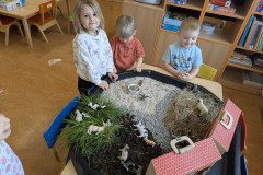 PXL_20250402_055705071