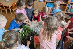 PXL_20250402_074347116