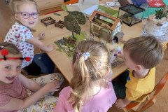 PXL_20250403_053303160