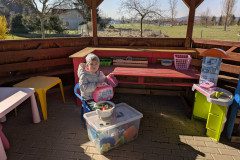 PXL_20250403_074119511