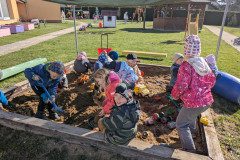 PXL_20250403_074307551