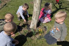 PXL_20250404_090209885