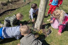 PXL_20250404_090212164
