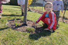 PXL_20250404_090235433