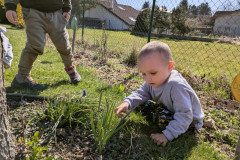 PXL_20250404_090258496