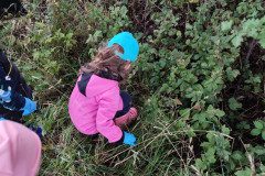 IMG-20220916-WA0010
