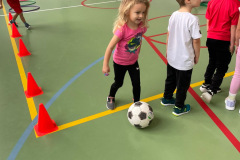 a6240e39-7746-4150-9d28-464df5525773