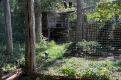 IMG_9962