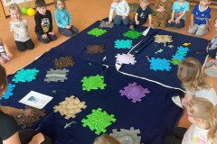 IMG-20250317-WA0007