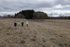 PXL_20250317_092827099