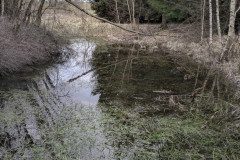 PXL_20250317_093921174