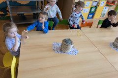 PXL_20250317_110045842