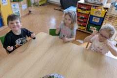 PXL_20250317_110050327