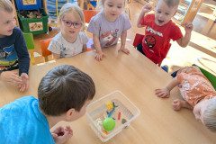 PXL_20250318_085033142