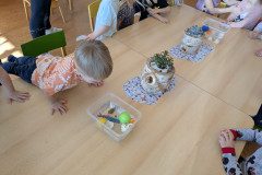 PXL_20250318_085040764