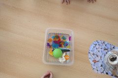 PXL_20250318_085219629