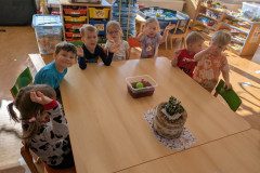 PXL_20250318_085428729