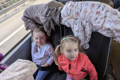 PXL_20260318_070509719