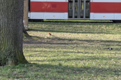 PXL_20260318_074831273