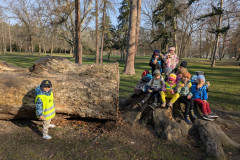 PXL_20260318_075934505