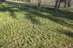 PXL_20260318_080551499