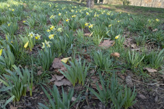 PXL_20260318_080604720