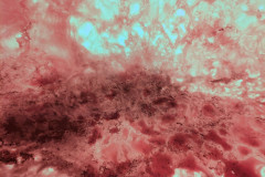 PXL_20260318_093345579