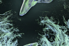 PXL_20260318_093357729