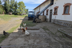 PXL_20260616_074308113