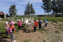 PXL_20260616_075734406