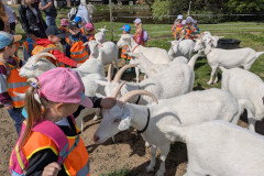 PXL_20260616_075753926