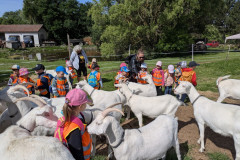 PXL_20260616_075817488