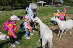 PXL_20260616_075911687