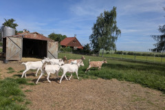 PXL_20260616_080308867